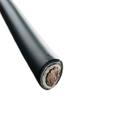 ����max(�й���)���޹�˾����