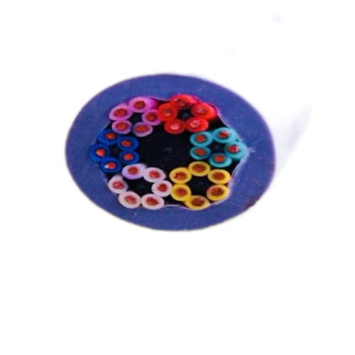 ����max(�й���)���޹�˾����