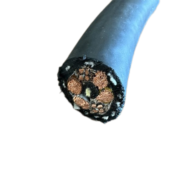 ����max(�й���)���޹�˾����