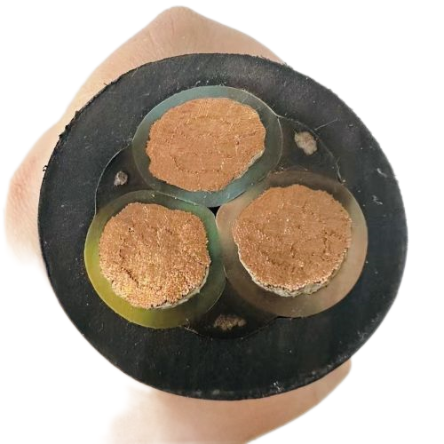 ����max(�й���)���޹�˾����