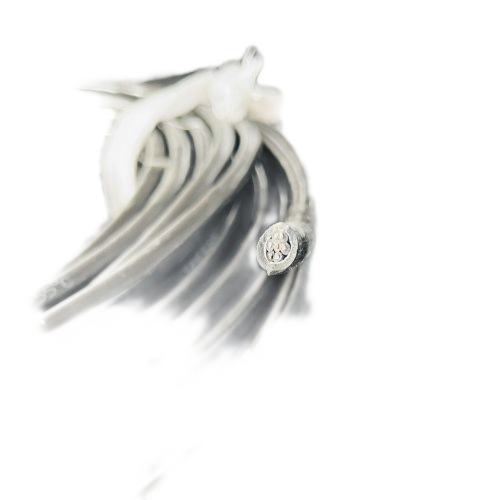 ����max(�й���)���޹�˾����