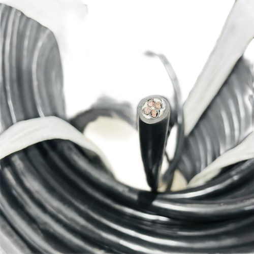 ����max(�й���)���޹�˾����