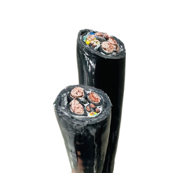 ����max(�й���)���޹�˾����