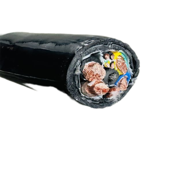 ����max(�й���)���޹�˾����