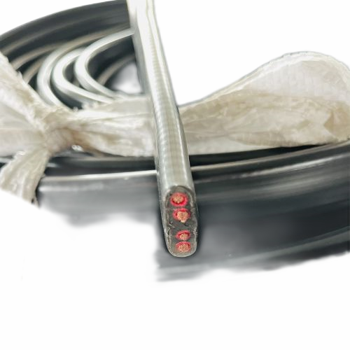 ����max(�й���)���޹�˾����