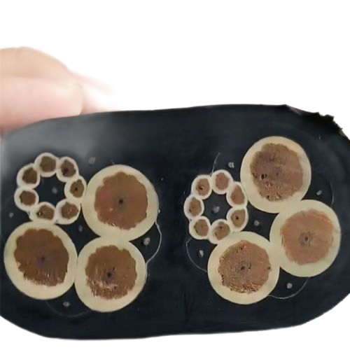 狗万·max(中国游)有限公司官网