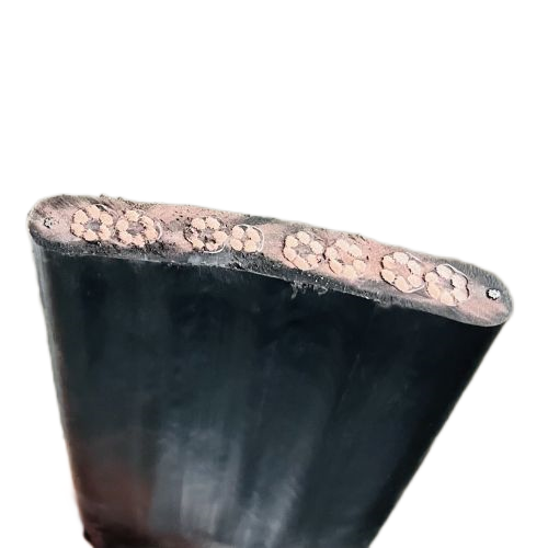 ����max(�й���)���޹�˾����