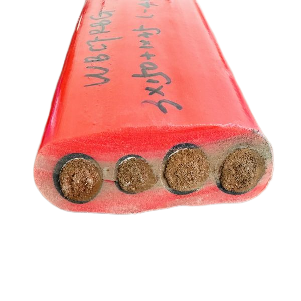 ����max(�й���)���޹�˾����