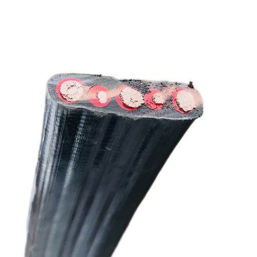 ����max(�й���)���޹�˾����