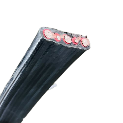 ����max(�й���)���޹�˾����