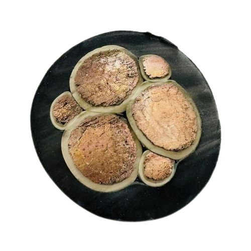 ����max(�й���)���޹�˾����