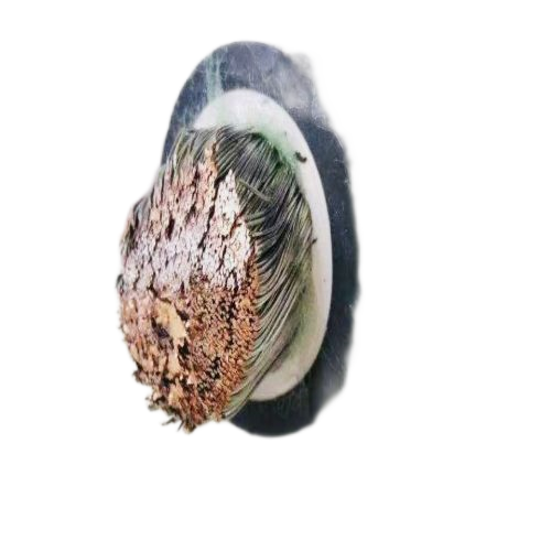 狗万·max(中国游)有限公司官网