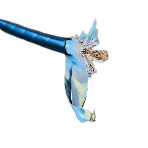 ����max(�й���)���޹�˾����