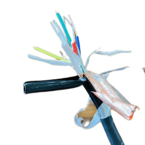 ����max(�й���)���޹�˾����