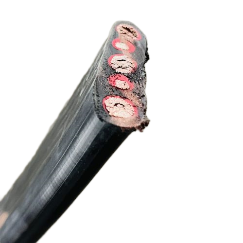 ����max(�й���)���޹�˾����