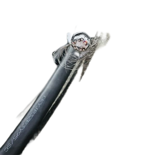 ����max(�й���)���޹�˾����