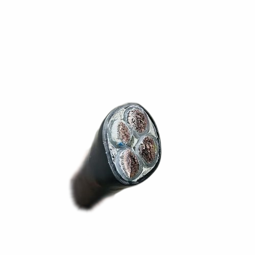 ����max(�й���)���޹�˾����