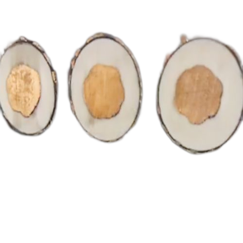 ����max(�й���)���޹�˾����