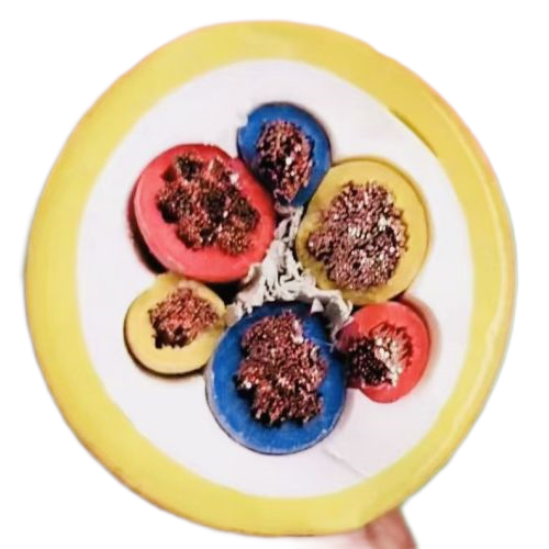 ����max(�й���)���޹�˾����