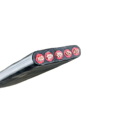 ����max(�й���)���޹�˾����