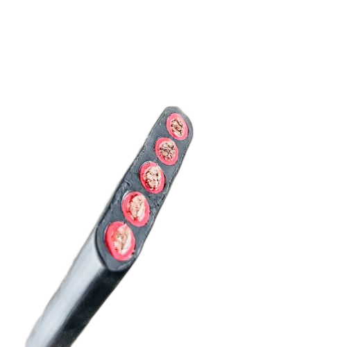 ����max(�й���)���޹�˾����