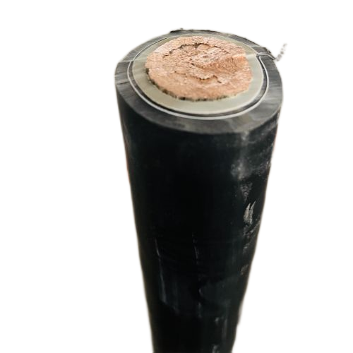 ����max(�й���)���޹�˾����