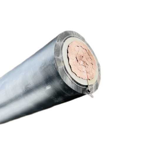 ����max(�й���)���޹�˾����