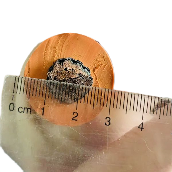 ����max(�й���)���޹�˾����