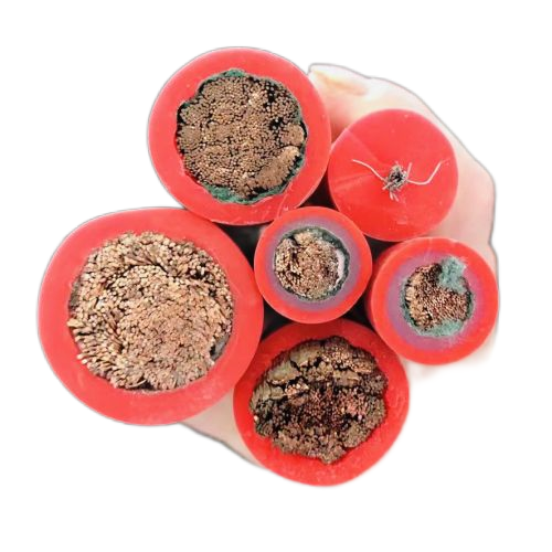 狗万·max(中国游)有限公司官网