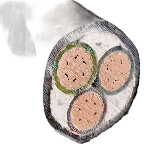 ����max(�й���)���޹�˾����