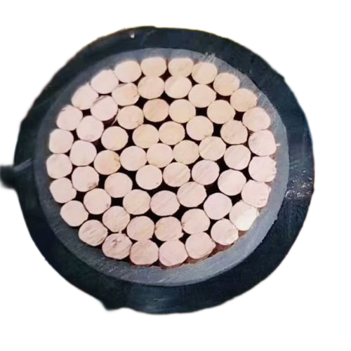 ����max(�й���)���޹�˾����