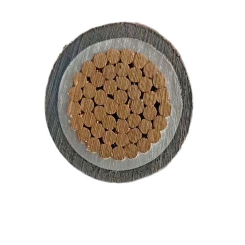 ����max(�й���)���޹�˾����