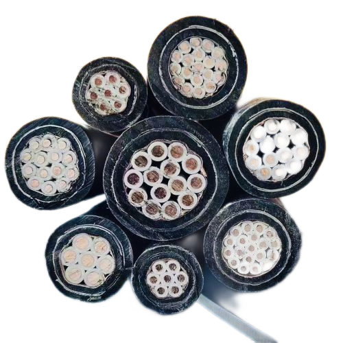 ����max(�й���)���޹�˾����