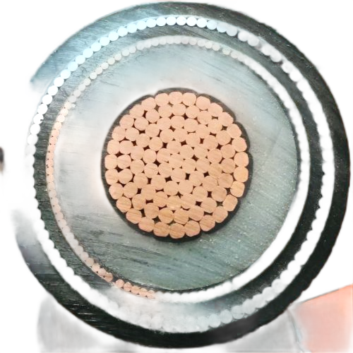 ����max(�й���)���޹�˾����