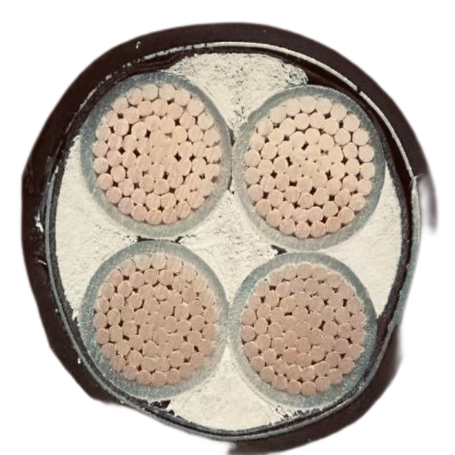 ����max(�й���)���޹�˾����