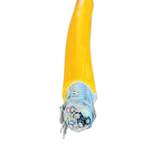 ����max(�й���)���޹�˾����