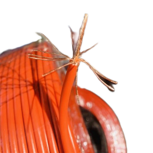 ����max(�й���)���޹�˾����