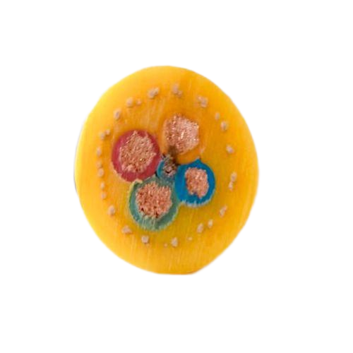 ����max(�й���)���޹�˾����