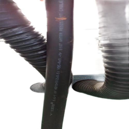 ����max(�й���)���޹�˾����