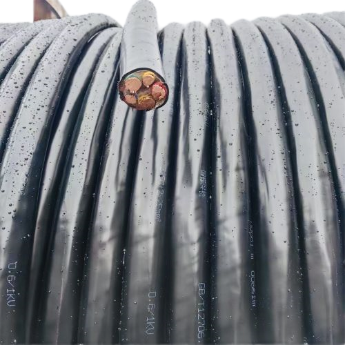 ����max(�й���)���޹�˾����