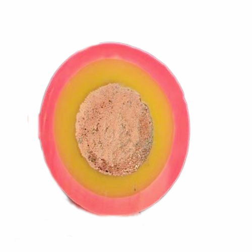 狗万·max(中国游)有限公司官网