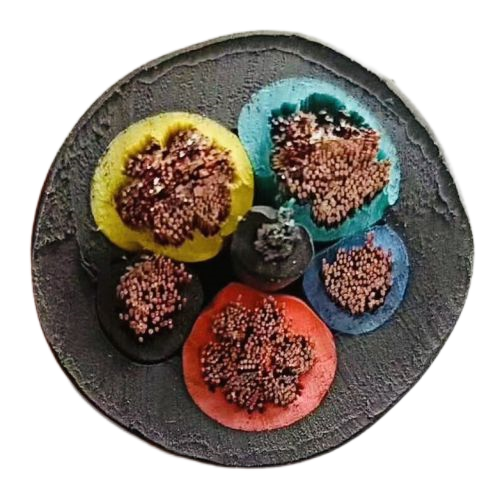 ����max(�й���)���޹�˾����