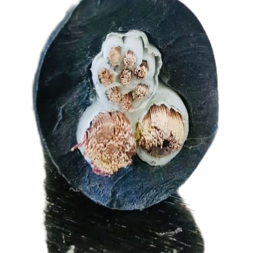 ����max(�й���)���޹�˾����