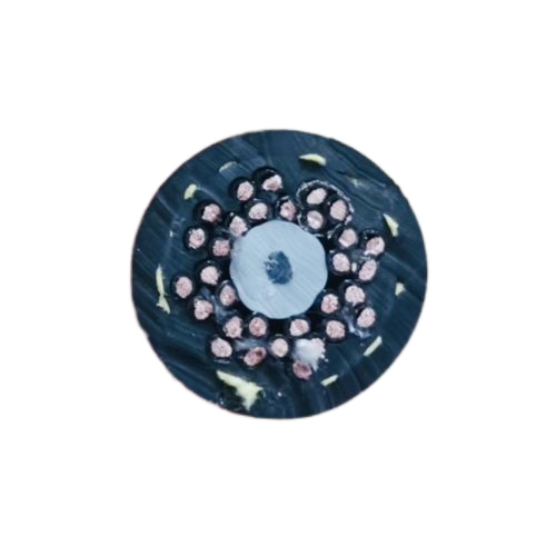 ����max(�й���)���޹�˾����