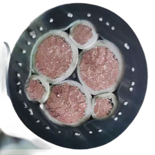 狗万·max(中国游)有限公司官网