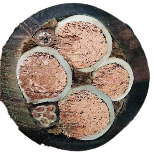 狗万·max(中国游)有限公司官网